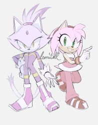 Rule 34 | 2girls, amy rose, animal ears, blaze the cat, cat ears, cat girl, cat tail, eyelashes, fang, forehead jewel, fur-trimmed gloves, fur trim, furry, furry female, gloves, green eyes, hairband, hedgehog girl, highres, jumpsuit, looking at viewer, multiple girls, pants, pink footwear, pink fur, pink pants, ponytail, purple fur, purple jumpsuit, sketch, smile, softyleonita, sonic (series), sonic riders, tail, white gloves, yellow eyes