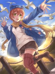 Rule 34 | 10s, 1girl, :d, animal, animal hat, bird, blush, boots, cat hat, day, hat, head tilt, hoshizora rin, jacket, knee boots, love live!, love live! school idol festival, love live! school idol project, miazi, open mouth, orange hair, outdoors, scarf, seagull, short hair, shorts, sky, smile, solo, thighhighs, yellow eyes