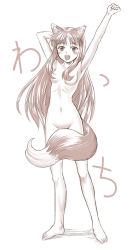 Rule 34 | 00s, animal ears, fang, holo, nude, solo, spice and wolf, wolf ears