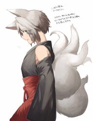 Rule 34 | 1boy, aged down, alternate costume, alternate universe, animal ears, black kimono, blue eyes, commentary request, detached sleeves, final fantasy, final fantasy vii, final fantasy vii ever crisis, fox boy, fox ears, fox tail, from side, grey hair, hakama, hattouissenbaka, highres, japanese clothes, kemonomimi mode, kimono, looking to the side, male focus, multiple tails, notice lines, red hakama, red sash, sash, sephiroth, short hair, simple background, sleeveless, sleeveless kimono, slit pupils, solo, tail, translation request, upper body, white background