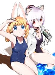 Rule 34 | 2girls, animal ear fluff, animal ears, armpits, black one-piece swimsuit, blue eyes, blue one-piece swimsuit, blush, breasts, cat ears, cleavage, collar, competition swimsuit, drinking, drinking straw, fox ears, from above, hair ornament, hairclip, jacket, jacket over swimsuit, kemomimi oukoku kokuei housou, large breasts, looking up, mikoko (kemomimi oukoku kokuei housou), monster energy, multiple girls, nora cat, nora cat channel, one-piece swimsuit, ponytail, poolside, red eyes, robot ears, school swimsuit, shichisei nanakusa, sideboob, silver hair, swimsuit, thighs, virtual youtuber, water, white jacket