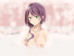 Rule 34 | 1girl, artist request, bare shoulders, bath, bathroom, blush, breasts, cleavage, closed mouth, collarbone, green eyes, hoshimi junna, indoors, large breasts, long hair, looking at viewer, nipples, nude, purple hair, shoujo kageki revue starlight, smile, solo, tagme, water