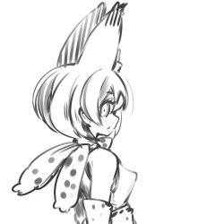 Rule 34 | 1girl, animal ears, bad id, bad twitter id, bow, bowtie, closed mouth, commentary, elbow gloves, gloves, greyscale, kemono friends, looking at viewer, monochrome, mota, print bow, print bowtie, serval (kemono friends), serval print, shirt, short hair, simple background, sleeveless, sleeveless shirt, solo, white background