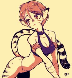 Rule 34 | 1girl, animal ears, breasts, breath of fire, breath of fire ii, bustier, capcom, cat ears, cat tail, facial mark, furry, furry female, mikan sanjuurou, navel, no pants, pointy ears, rinpoo chuan, short hair, simple background, solo, tail