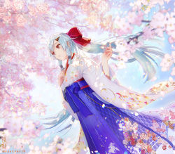 Rule 34 | 1girl, artist name, blue hair, blue hakama, blue sky, bow, cherry blossoms, dappled sunlight, day, dutch angle, fate/grand order, fate (series), feet out of frame, flat chest, floral print, from below, hair bow, hair ornament, hairclip, hakama, hakama skirt, hand on own chest, japanese clothes, kimono, long hair, long sleeves, outdoors, parted lips, ponytail, red bow, red eyes, shutsuri, sidelocks, skirt, sky, solo, spring (season), standing, sunlight, tomoe gozen (fate), very long hair, white kimono, wide sleeves