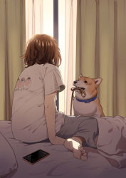 Rule 34 | 1girl, animal collar, arm support, barefoot, blue collar, brown hair, cellphone, collar, curtains, dog, from behind, grey pants, leash, mattaku mousuke, mouth hold, on bed, original, pants, phone, pillow, shirt, short hair, sitting, smartphone, soles, solo, t-shirt, welsh corgi, white shirt