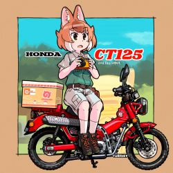 Rule 34 | 1girl, animal ears, beige shirt, beige shorts, belt, boots, box, brown footwear, camera, collared shirt, commentary request, dhole (kemono friends), dog ears, dog girl, dog tail, green shirt, honda, japari symbol, kemono friends, kemono friends 3, khakis, light brown hair, motor vehicle, motorcycle, multicolored hair, neckwear request, official alternate costume, shirt, short hair, short sleeves, shorts, solo, tail, toriny, two-tone hair, two-tone shirt, uniform, white hair