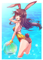 Rule 34 | 1girl, :d, absurdres, animal ears, ass, back, ball, bare shoulders, beachball, border, breasts, brown eyes, brown hair, brown one-piece swimsuit, commentary request, floating hair, from side, hand in own hair, highres, iesupa, leaning forward, long hair, looking at viewer, one-piece swimsuit, open mouth, rabbit ears, rabbit girl, rabbit tail, rwby, scrunchie, smile, swimsuit, tail, velvet scarlatina, wading, water, white border, wrist scrunchie