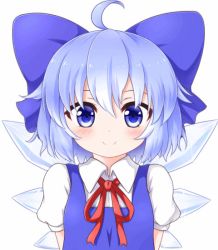 Rule 34 | 1girl, :&lt;, :3, ahoge, animated, animated gif, blinking, blue eyes, blue hair, blush, bow, bowtie, cirno, closed eyes, collared shirt, dress, emofuri, fang, hair bow, happy, head tilt, ice, ice wings, looking at viewer, matching hair/eyes, md5 mismatch, mofu mofu, open mouth, pout, puffy short sleeves, puffy sleeves, sad smile, shirt, short hair, short sleeves, simple background, solo, touhou, ugoira, upper body, white background, wide-eyed, wings