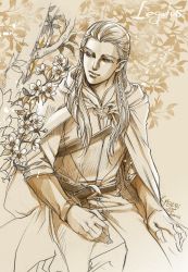 Rule 34 | 1boy, belt, braid, cape, chest harness, closed mouth, commentary, english commentary, flower, harness, highres, hood, hood down, hooded cape, kazuki-mendou, legolas, male focus, pointy ears, robe, side braids, sitting, smile, solo, the lord of the rings, tolkien&#039;s legendarium, tolkien's legendarium