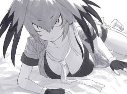 Rule 34 | 1girl, bed, black gloves, black hair, bodystocking, bra, fingerless gloves, gloves, grey hair, grey necktie, grey shirt, grey shorts, greyscale, guchico, hair between eyes, head wings, kemono friends, looking at viewer, lying, monochrome, multicolored hair, necktie, on stomach, partially undressed, shirt, shoebill (kemono friends), shorts, solo, staring, tsurime, underwear, unfinished, white necktie, wings