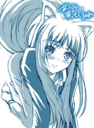 Rule 34 | 00s, 1girl, animal ears, blue theme, holo, monochrome, solo, spice and wolf, tail, wolf ears, wolf tail