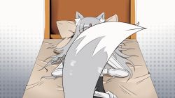 Rule 34 | 1girl, animal ear fluff, animal ears, animated, animated gif, closed mouth, closed eyes, green hair, long hair, long sleeves, lying, myuri (spice and wolf), notchaott, on back, on bed, pillow, smile, solo, spice and wolf, tail, tail wagging, wolf ears, wolf girl, wolf tail