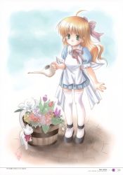 Rule 34 | 1girl, absurdres, azuma yuki, blonde hair, bucket, cat, child, dress, flower, green eyes, highres, signature, solo, sparkle, taghe, thighhighs, watering, watering can, white thighhighs
