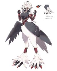 Rule 34 | 1girl, absurdres, antenna hair, bird girl, bird legs, bird wings, brown jacket, claws, colored skin, detached sleeves, fangs, feathered wings, full body, grey skin, hands up, highres, inu fuji, jacket, looking at viewer, monster girl, open mouth, original, pointy ears, red eyes, red nails, short hair, simple background, smile, solo, standing, taur, white background, white hair, wings