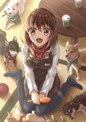 Rule 34 | 1girl, :d, apron, artist request, ball, bandana, black pantyhose, breasts, brown apron, brown eyes, brown hair, brush, cup, disposable cup, dog, from above, full body, indoors, long sleeves, medium breasts, medium hair, name tag, no shoes, open mouth, original, pantyhose, red bandana, sitting, smile, solo, table, tatami, wariza, white dog