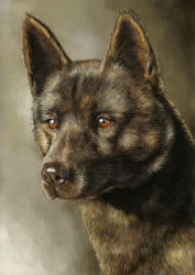 Rule 34 | akio (artist), animal, animal focus, brown eyes, dog, expressionless, no humans, original, realistic, solo, wolf