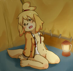 Rule 34 | 1girl, animal crossing, animal ears, animal hands, arm support, artist request, barefoot, black eyes, blonde hair, blush, body blush, bottomless, breasts, collarbone, collared shirt, covered erect nipples, feet, female focus, full body, furry, furry female, hair bun, hair ornament, indoors, isabelle (animal crossing), jacket, lantern, navel, neck ribbon, nintendo, nipples, open clothes, open jacket, open mouth, open shirt, red ribbon, ribbon, shadow, shirt, short hair, single hair bun, sitting, small breasts, solo, tail, teeth, tent, toes, untied neckwear, white shirt, yellow fur, yellow jacket