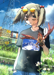 Rule 34 | 1girl, absurdres, animal, black eyes, black shirt, blue sky, borrowed character, bracelet, building, canal, chain, cigarette, city, cloud, cloudy sky, commentary, cowboy shot, crayfish, dandelion, day, denim, extra eyes, eyewear on head, field, flower, giba ryan, green hair, hair between eyes, hair bobbles, hair ornament, hand in pocket, highres, holding, holding animal, jeans, jewelry, looking at another, looking at viewer, medium hair, mountain, mud, one eye closed, original, outdoors, pants, power lines, print shirt, rice paddy, round eyewear, shirt, short twintails, sky, smile, smoke, smoking, solo, stain, sunglasses, t-shirt, tinted eyewear, transmission tower, twintails, weeds, yomeko (koiso)