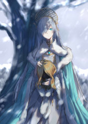 Rule 34 | 1girl, absurdres, anastasia (fate), blue cloak, blue eyes, blurry, blurry background, blush, brown hair, brown hairband, brown ribbon, cloak, closed mouth, commentary request, crown, day, depth of field, dress, fate/grand order, fate (series), hair over one eye, hair ribbon, hairband, highres, light smile, long hair, long sleeves, mini crown, misaka76, outdoors, ribbon, royal robe, silver hair, snowing, solo, tree, very long hair, white dress, wide sleeves