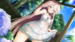 Rule 34 | 1girl, bare shoulders, blue eyes, blush, bow, bow panties, breasts, choker, clothes lift, daidou (demitasse), day, dress, dutch angle, flower, hair ornament, tucking hair, hairclip, highres, hydrangea, ia (vocaloid), leaf, long hair, looking at viewer, no bra, panties, parted lips, pink hair, see-through, see-through silhouette, skirt, skirt lift, sky, small breasts, solo, sundress, tree, underwear, upskirt, very long hair, vocaloid, water, wet, wet clothes, white dress, white panties