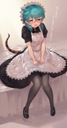 Rule 34 | 1girl, alternate costume, apron, black dress, black pantyhose, blue eyes, blue hair, blush, center frills, commentary request, dress, embarrassed, enmaided, flying sweatdrops, frilled apron, frills, hands on lap, highres, kemono friends, kemono friends 3, looking down, maid, maid apron, maid headdress, pantyhose, puffy short sleeves, puffy sleeves, short hair, short sleeves, sitting, snake tail, solo, tadano magu, tail, translation request, tsuchinoko (kemono friends), white apron, white headwear