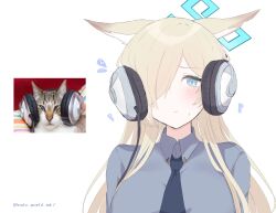 Rule 34 | 1girl, :t, ?, animal ears, blonde hair, blue archive, blue eyes, blue halo, blue necktie, blue shirt, blush, breasts, closed mouth, collared shirt, commentary request, dog ears, flying sweatdrops, hair over one eye, halo, headphone cat (meme), headphones, highres, implied extra ears, kanna (blue archive), large breasts, long hair, meme, necktie, photo inset, rate world mk1, reference inset, shirt, simple background, solo, twitter username, white background
