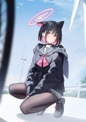 Rule 34 | 1girl, absurdres, animal ears, between legs, black choker, black hair, black jacket, black pantyhose, blue archive, choker, closed mouth, colored inner hair, dangoyoo, fence, full body, halo, hand between legs, highres, hood, hood down, hooded jacket, jacket, kazusa (blue archive), long sleeves, looking at viewer, miniskirt, multicolored hair, neckerchief, outdoors, pantyhose, pink hair, pink neckerchief, pleated skirt, red eyes, sailor collar, shoes, skirt, sky, sneakers, solo, squatting, sweat, two-tone hair, white skirt, wind turbine, windmill