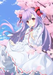 Rule 34 | 1girl, blue sky, blush, bow, cherry blossoms, chiyonekoko, colored eyelashes, commentary request, cowboy shot, falling petals, flower, frilled shirt, frilled skirt, frilled sleeves, frills, grin, hair bow, hand up, highres, holding, holding flower, long hair, long skirt, long sleeves, looking at viewer, neck ribbon, niizuma yae, petals, pink eyes, pink flower, puffy sleeves, purple hair, red bow, red ribbon, ribbon, shirt, skirt, skirt hold, skirt set, sky, smile, solo, striped bow, swept bangs, tareme, tree, two-tone bow, two side up, very long hair, white shirt, white skirt, world dai star