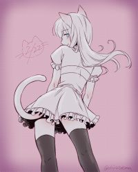 Rule 34 | 10s, 1boy, animal ears, bad id, bad pixiv id, black thighhighs, blue eyes, cat boy, cat day, cat ears, cat tail, crossdressing, dated, dress, from behind, looking back, male focus, midare toushirou, monochrome, shirado emi, smile, solo, spot color, tail, thighhighs, touken ranbu, trap