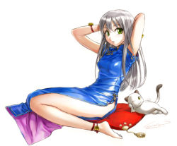 Rule 34 | 1girl, anklet, artist request, barefoot, cat, china dress, chinese clothes, dress, feet, green eyes, jewelry, shiny clothes, signature, silver hair, solo