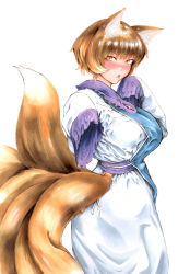 Rule 34 | 1girl, akuroporisu, animal ears, blonde hair, dress, fox ears, fox tail, frills, highres, long sleeves, multiple tails, no headwear, open mouth, short hair, simple background, sleeves past fingers, sleeves past wrists, slit pupils, solo, tabard, tail, touhou, white background, white dress, yakumo ran, yellow eyes