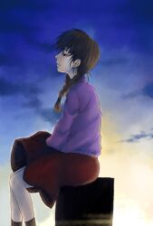 Rule 34 | 1girl, black eyes, black socks, blue sky, braid, brown hair, cloud, commentary request, expressionless, feet out of frame, from side, highres, long hair, madotsuki, parted lips, profile, purple sweater, red skirt, saitou nekoichi, sitting, skirt, sky, socks, solo, sweater, twin braids, yume nikki