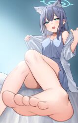 Rule 34 | 1girl, alternate costume, animal ear fluff, animal ears, barefoot, blue archive, blue cardigan, blue halo, blue jacket, blue shorts, cardigan, extra ears, feet, foot focus, grey hair, halo, highres, hoshimiya aki, jacket, looking at viewer, mismatched pupils, on bed, open clothes, open jacket, open mouth, shiroko (blue archive), shorts, simple background, sitting, teeth, upper teeth only, wolf ears