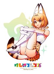 Rule 34 | 1girl, animal ear fluff, animal ears, animal print, artist name, bare shoulders, belt, boots, breasts, commentary, copyright name, crossed legs, elbow gloves, full body, gloves, gradient gloves, grin, high heel boots, high heels, highres, hug, kemono friends, knees to chest, leopard print, medium breasts, orange eyes, orange hair, panties, pantyshot, serval, serval (kemono friends), shadow, shirt, short hair, sigma 2018, simple background, skirt, sleeveless, sleeveless shirt, smile, solo, sparkle, tail, thighhighs, thighs, underwear, white background, white footwear, white panties, white shirt