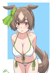 Rule 34 | 1girl, alternate costume, animal ears, artist name, bikini, blue background, blush, breasts, brown hair, closed mouth, ear ornament, front-tie bikini top, front-tie top, highres, horse ears, horse girl, horse tail, large breasts, leaning forward, long hair, looking at viewer, navel, satono diamond (umamusume), side-tie bikini bottom, simple background, smile, solo, swimsuit, t2r, tail, two-tone background, umamusume, white background, white bikini, yellow eyes