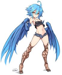Rule 34 | 1girl, ahoge, black camisole, blue hair, blue shorts, blue wings, blush, breasts, brown eyes, camisole, collarbone, egg, feathered wings, full body, groin, hair between eyes, harpy, highres, karukan (monjya), looking at viewer, monster girl, monster musume no iru nichijou, navel, open clothes, open fly, open shorts, papi (monster musume), parted lips, shadow, short shorts, shorts, simple background, small breasts, solo, standing, talons, white background, winged arms, wings