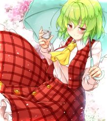 Rule 34 | 1girl, aka tawashi, ascot, blush, breasts, cherry blossoms, commentary request, cowboy shot, cup, green hair, green umbrella, hair between eyes, hands up, highres, holding, holding cup, holding umbrella, kazami yuuka, large breasts, light particles, long sleeves, looking at viewer, petticoat, plaid, plaid skirt, plaid vest, red eyes, red skirt, red vest, shirt, short hair, skirt, skirt set, smile, solo, touhou, umbrella, vest, white shirt, yellow ascot