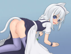 Rule 34 | 1girl, all fours, animal ears, anus, apron, ass, blue background, blue eyes, braid, cat ears, cat tail, cleft of venus, dress, female focus, maid, maid apron, maid headdress, no panties, open mouth, original, purple thighhighs, pussy, solo, sweat, tail, thighhighs, tsunousagi (user ujyx8587), wavy mouth, white hair