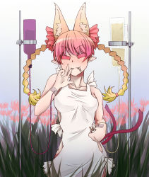 Rule 34 | 1girl, alcohol, animal ears, apron, bad id, bad pixiv id, beer, braid, cat ears, cat girl, cigarette, extra ears, closed eyes, fang, female focus, flower, kaenbyou rin, long hair, naked apron, pointy ears, red hair, sakurai energy, solo, spider lily, touhou, twin braids, twintails, wine