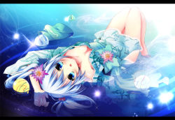 Rule 34 | 1girl, alternate costume, barefoot, blue eyes, blue hair, blush, breasts, female focus, flower, hair bobbles, hair flower, hair ornament, hat, unworn hat, unworn headwear, japanese clothes, kawashiro nitori, kimono, letterboxed, looking at viewer, lying, matching hair/eyes, natsuki yuu (amemizu), natsukiyuu, on back, open mouth, partially submerged, solo, touhou, twintails, two side up, upside-down, water, water balloon