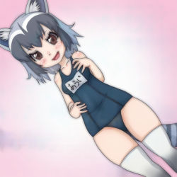 Rule 34 | 10s, 1girl, alternate costume, animal ears, bare arms, bare shoulders, black hair, blush, commentary request, common raccoon (kemono friends), cowboy shot, grey hair, kemono friends, multicolored hair, one-piece swimsuit, raccoon ears, raccoon tail, school swimsuit, short hair, solo, swimsuit, t jiroo (ringofriend), tail, thighhighs, white thighhighs