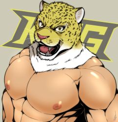 Rule 34 | 1boy, abs, bara, close-up, fang, ig1119, king (tekken), large pectorals, looking at viewer, male focus, manly, mature male, muscular, muscular male, nipples, open mouth, pectorals, signature, solo, teeth, tekken, tiger mask (object), tongue, topless male, tusks, upper body, veins, yellow eyes