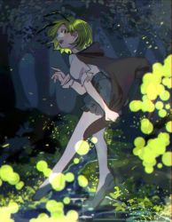 Rule 34 | 1girl, :d, absurdres, androgynous, antennae, black cape, black shorts, blush, bug, cape, collared shirt, firefly, frills, green eyes, green hair, highres, insect, looking at viewer, open mouth, puffy short sleeves, puffy sleeves, shi chimi, shirt, short hair, short sleeves, shorts, smile, solo, touhou, tree, white shirt, wriggle nightbug