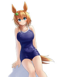 Rule 34 | 1girl, animal ears, bare shoulders, blue eyes, blue one-piece swimsuit, blush, breasts, brown hair, closed mouth, commentary request, competition school swimsuit, cowboy shot, hair ornament, highres, horse ears, horse girl, horse tail, large breasts, one-piece swimsuit, ponytail, school swimsuit, shadow, simple background, smile, solo, star (symbol), star hair ornament, swimsuit, taiki shuttle (umamusume), tail, tracen swimsuit, umamusume, white background, yamada (c57hikaru)
