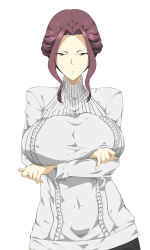 Rule 34 | 1girl, arms under breasts, breasts, closed mouth, commentary request, covered erect nipples, crossed arms, grey eyes, grey sweater, hair up, hukii, large breasts, looking at viewer, mature female, mirelia q melromarc, pantyhose, purple hair, sweater, tate no yuusha no nariagari, turtleneck, turtleneck sweater