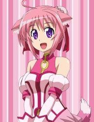 Rule 34 | 10s, 1girl, ahoge, animal ears, bare shoulders, breasts, dog days, dog ears, dog tail, female focus, hair ribbon, millhiore f. biscotti, pink hair, purple eyes, ribbon, sakuragami, solo, tail