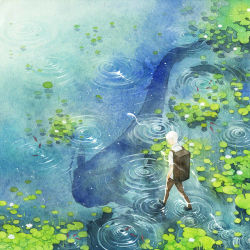 Rule 34 | 1boy, amber t, backpack, bag, black footwear, brown pants, collared shirt, commentary, facing away, fish, flower, from above, full body, ginko, lily pad, male focus, mushi (mushishi), mushishi, painting (medium), pants, ripples, shirt, shoes, short hair, short sleeves, solo, standing, standing on liquid, traditional media, walking, walking on liquid, water, water lily flower, water world, watercolor (medium), white flower, white hair, white shirt, wide shot
