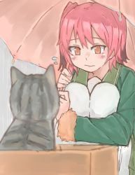 Rule 34 | 10s, 1girl, az toride, blurry, box, brown eyes, cat, colored tips, depth of field, flying sweatdrops, fur-trimmed sleeves, fur trim, holding, holding umbrella, in box, in container, kantai collection, kunashiri (kancolle), lips, looking at another, multicolored hair, pink hair, rain, squatting, two side up, umbrella, white legwear