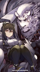 Rule 34 | 1boy, 1girl, animal ears, arknights, artist name, belt, black shirt, black tank top, brass knuckles, carrying, carrying person, clenched hand, coat, coat on shoulders, debris, freckles, furry, furry male, highres, knife, mountain (arknights), muscular, muscular male, nakamura eight, pectorals, raccoon ears, robin (arknights), scar, scar across eye, scar on face, shirt, tail, tank top, throwing knife, tiger boy, tiger ears, tiger tail, weapon